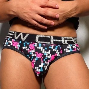 Andrew Christian Disco Flamingo Brief
